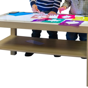 mesa de luz geriatricos y centros de día