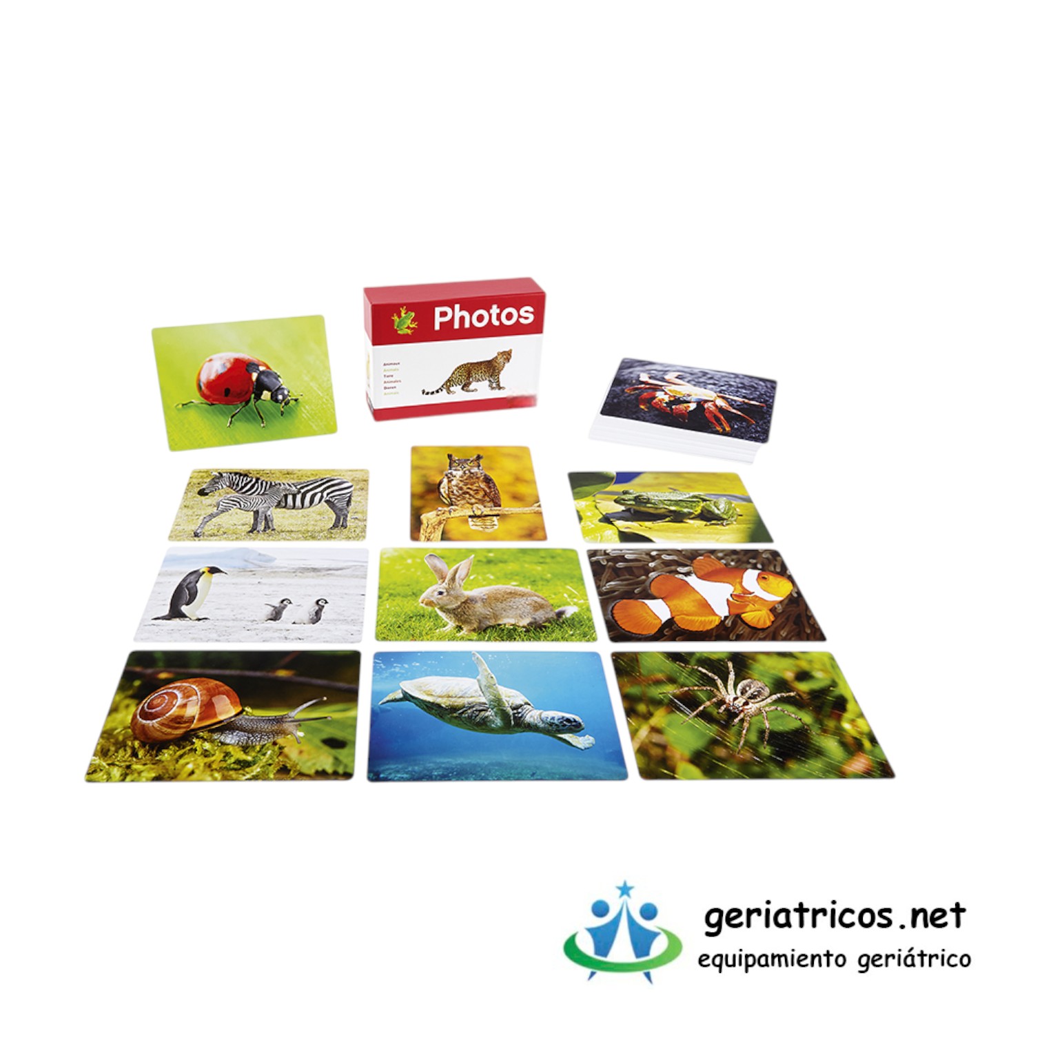 Foto libro Animales. Juego educativo para estimulación cognitiva