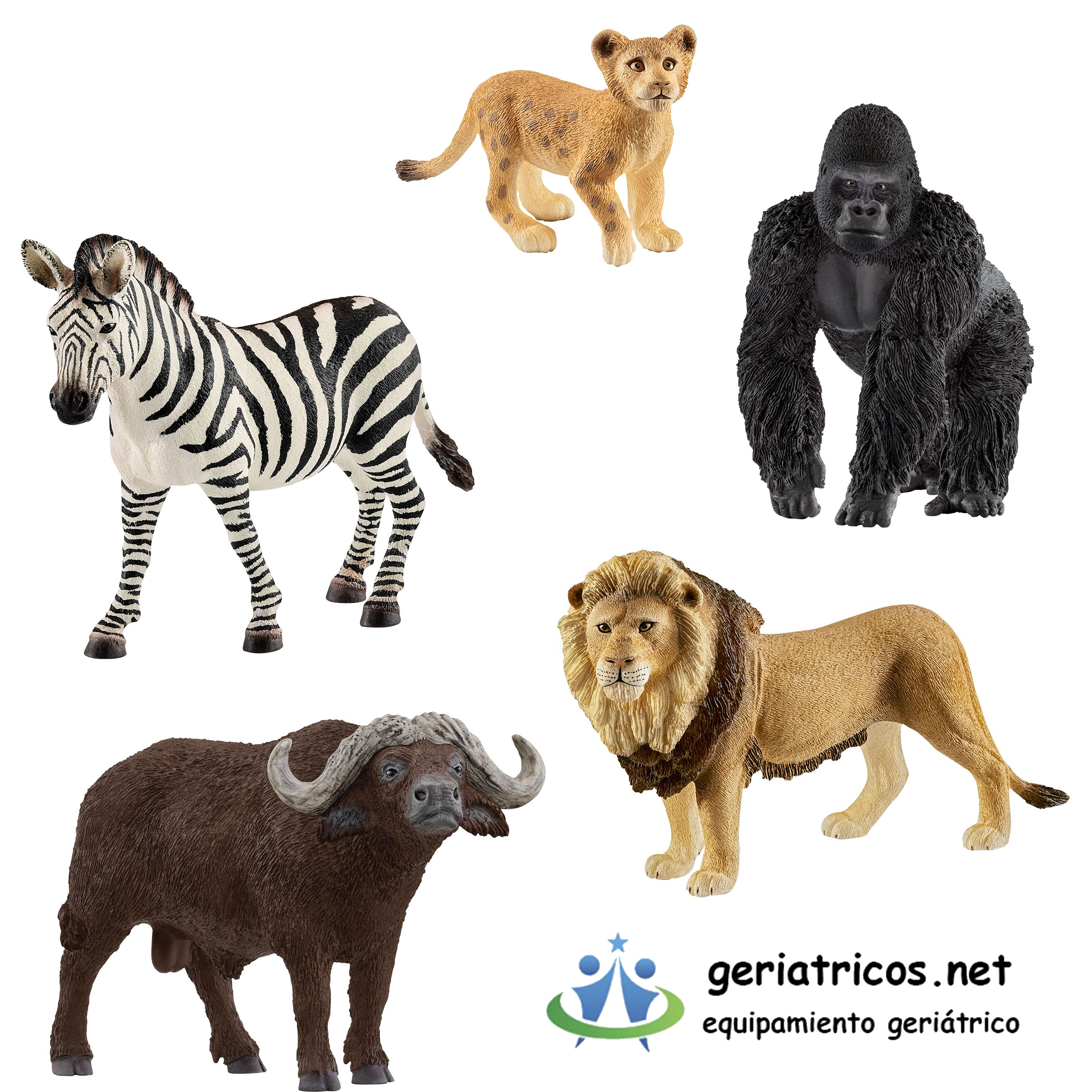 Animales de Asia y Africa