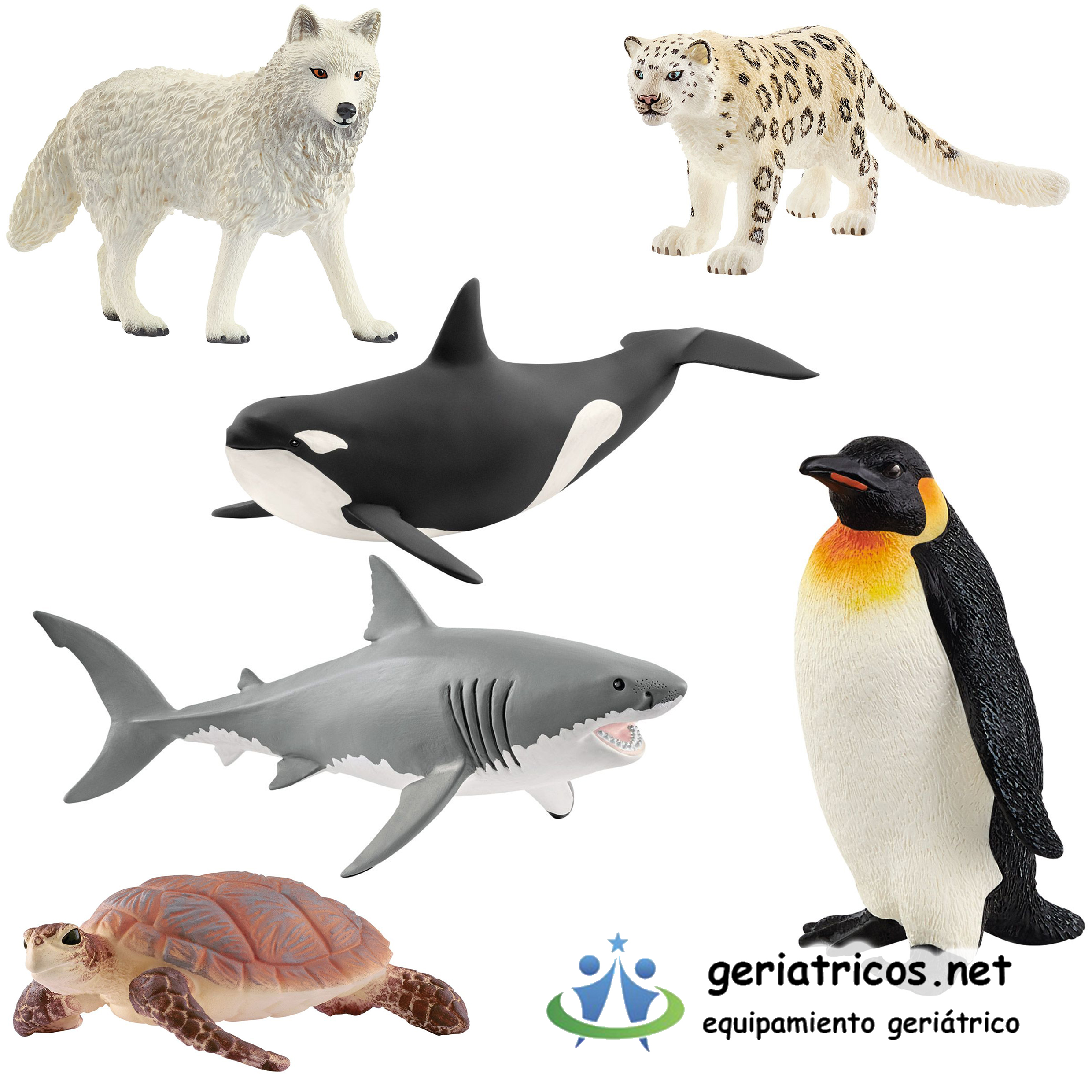 Animales polares y de los oceanos