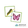 Tarjetas asociaciones para mayores - Imagen 4