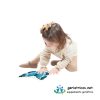 Puzzles para mayores tematica animales - Imagen 7