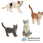 gatos